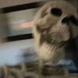 Meet your Posher, Jillian